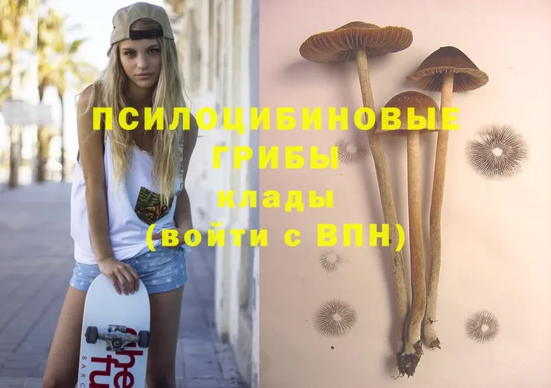 Псилоцибиновые грибы MAGIC MUSHROOMS  где можно купить   Буинск 